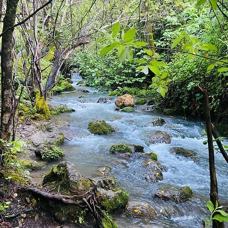 Rural La Leyenda * El Bosque