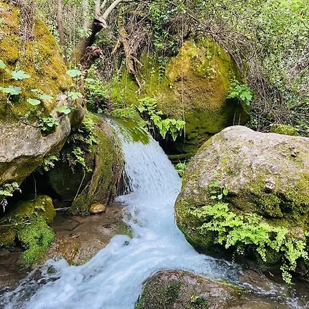 Rural La Leyenda Appartamento El Bosque (Cadiz)
